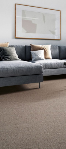 Featured Carpet Collection