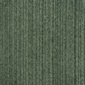 CFS Illusion Woodland