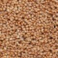 CFS Dorset Twist -Chesnut
