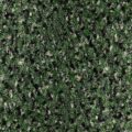 CFS Varsity Collection – Forest