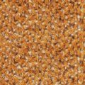 CFS Varsity Collection – Honey