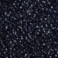 CFS Varsity Collection – Navy