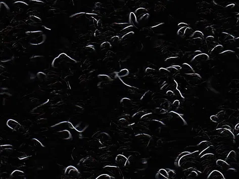 CFS New Drever - Charcoal