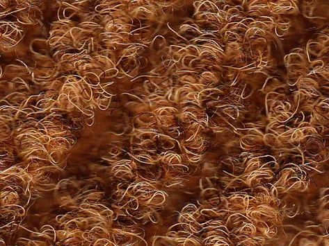 CFS New Drever - Natural