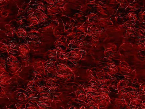 CFS New Drever - Red