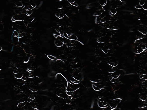 CFS Stockade - Charcoal