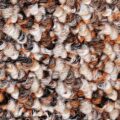 CFS Big Hit – Eagle Tawny 700
