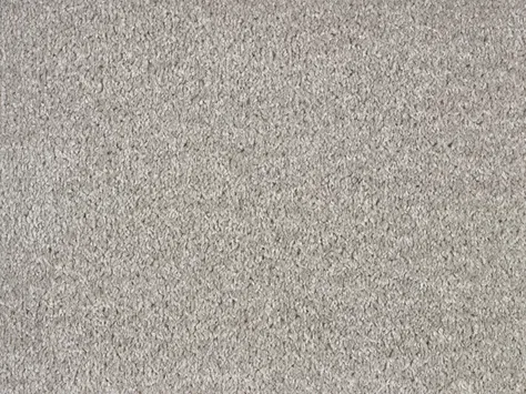 Ideal Dublin Twist - Dolphin