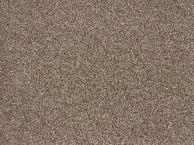 Ideal Dublin Twist - Mink