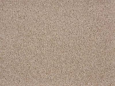 Ideal Dublin Twist - Ivory