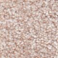 CFS Monarchy – Lace 470