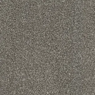 Vanguard Silk Harmony – Soft Taupe