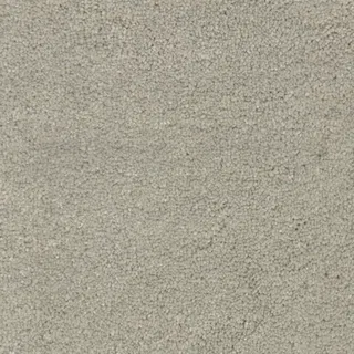 Vanguard Silk Harmony – White Orchid