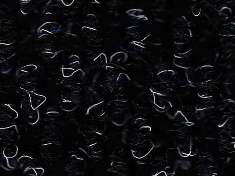 CFS Lobby - Crown Blue