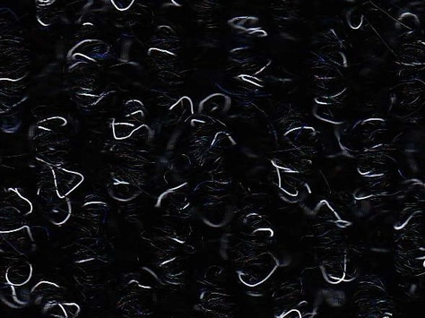 CFS Lobby - Crown Blue