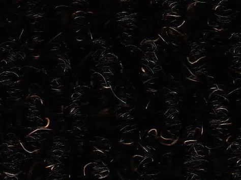 CFS Lobby - Jet Black