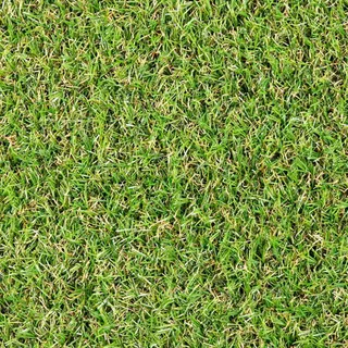 Lavish Lawns – Spring