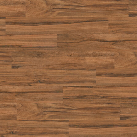 French Nut Tree 4008