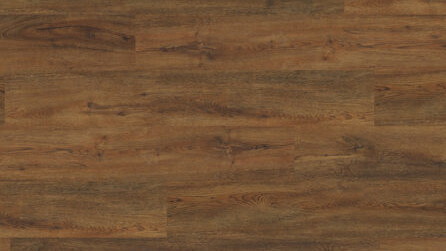 Roasted Oak 4079