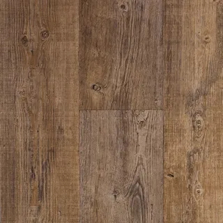 Vanguard Forest – Rustic