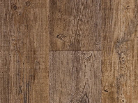 Vanguard Forest - Rustic