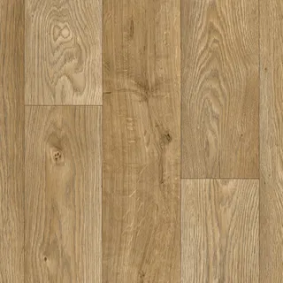 Vanguard Forest – Sunrise Oak