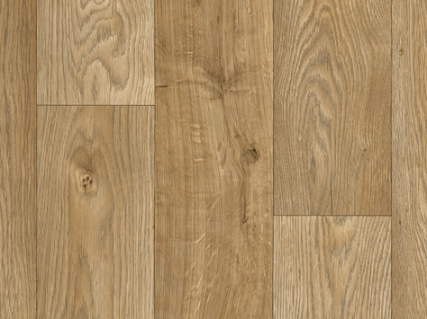 Vanguard Forest - Sunrise Oak