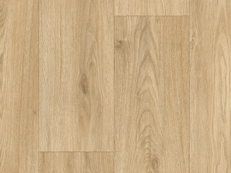 Vanguard Forest - Traditional Oak