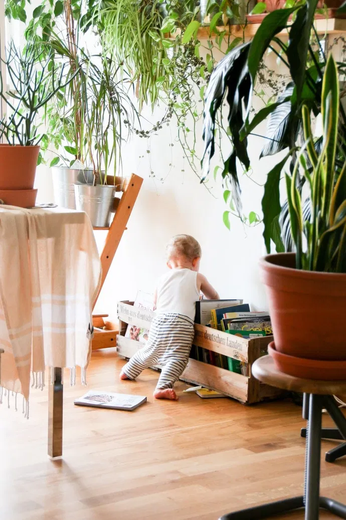 Budget Flooring for Family Homes – Why Laminate and Vinyl Floors Are Lifesavers