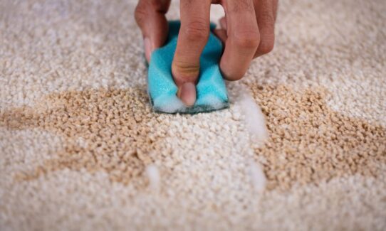How often should you replace carpet?