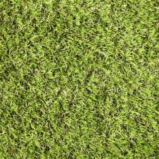 Lavish Lawns – Elegance