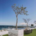 Lavish Lawns – Exquisitegallery-thumbnail-main