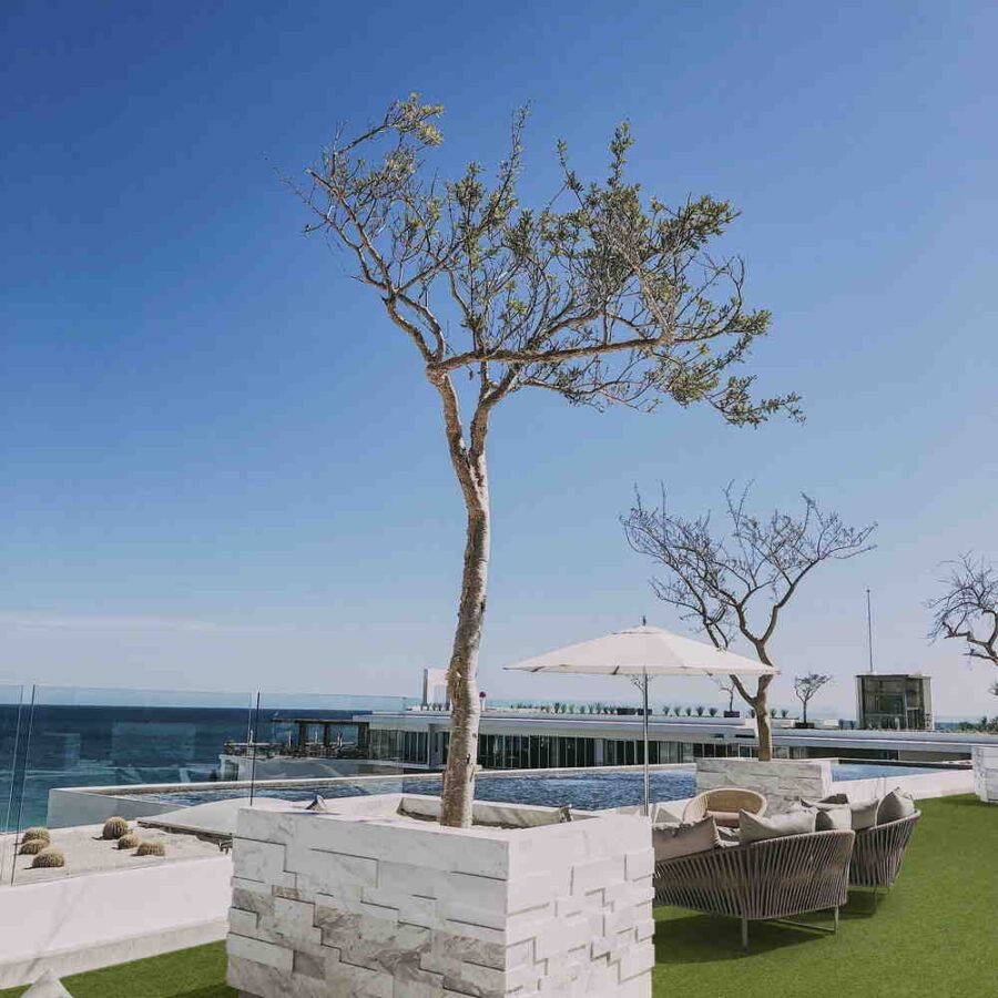 Lavish Lawns – Exquisite