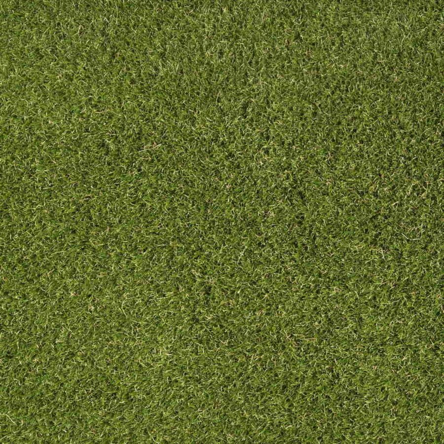 Lavish Lawns – Exquisite