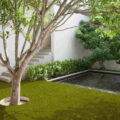 Lavish Lawns – Opulent