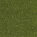 Lavish Lawns – Gracegallery-thumbnail-main