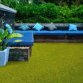 Lavish Lawns – Regalgallery-thumbnail-main