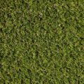 Lavish Lawns – Regalgallery-thumbnail-main