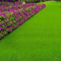 Luxury Lawns – Cotswoldgallery-thumbnail-main