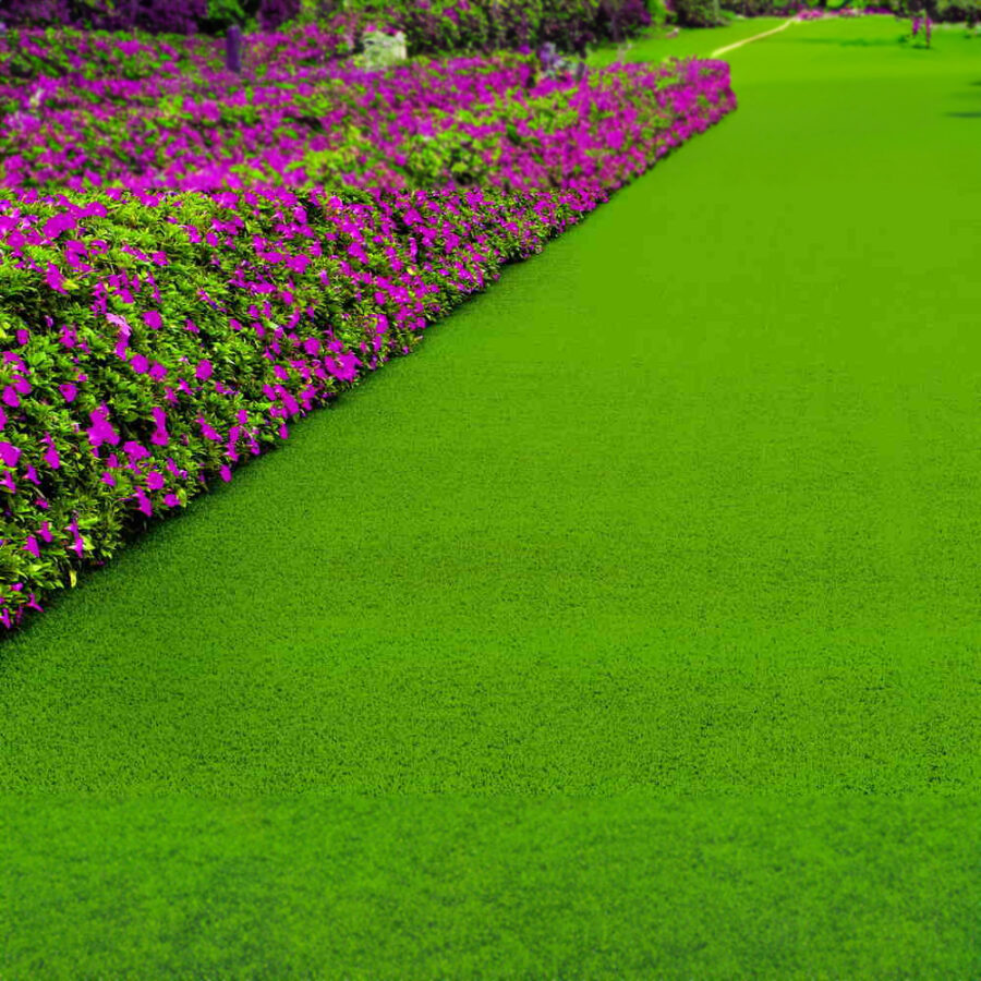 Luxury Lawns – Cotswold