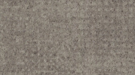 Deep Fossil 5082