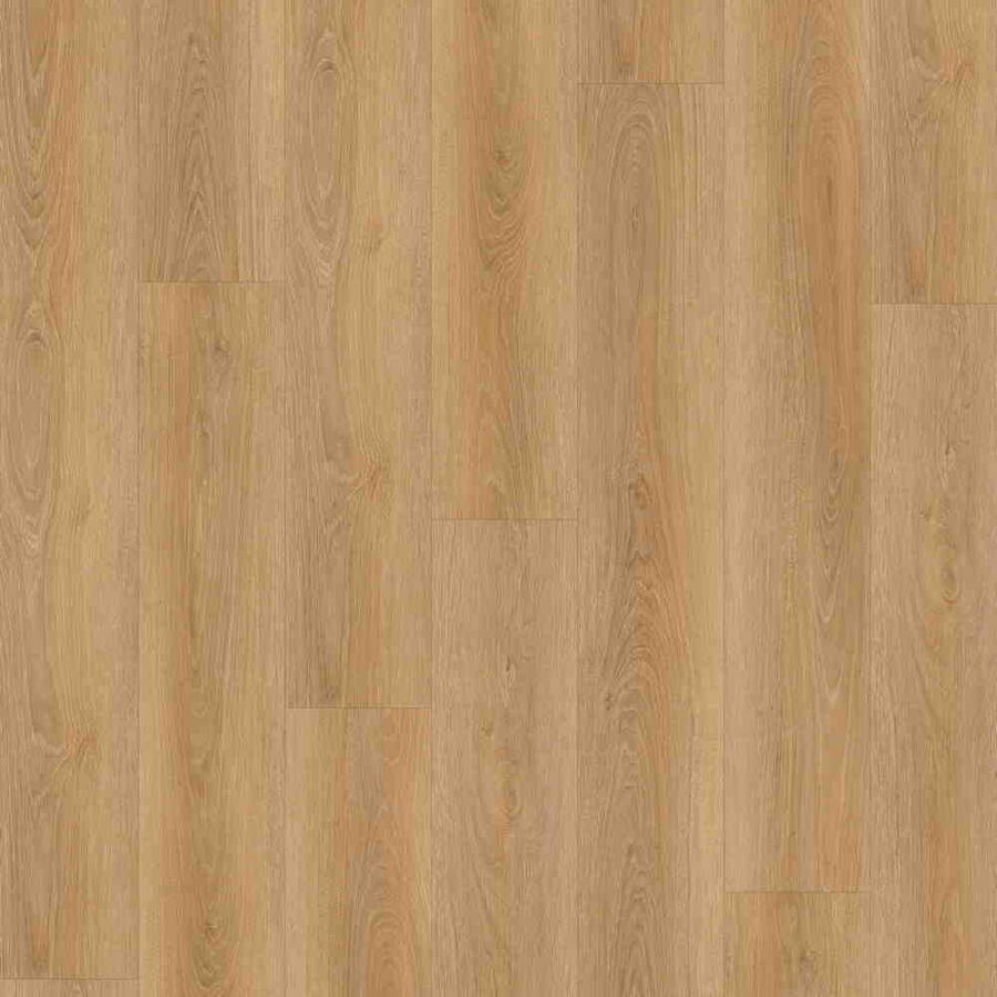 CFS Eternity – Blenheim Oak