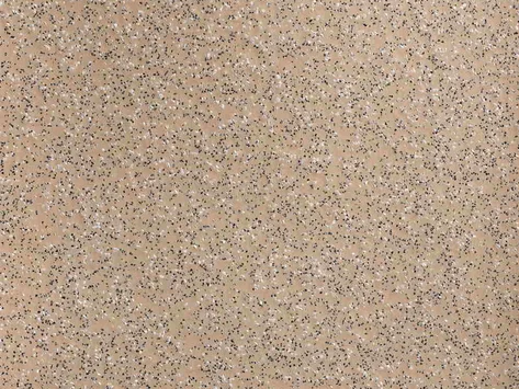 Altro Stronghold 30 - Biscuit