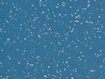 Blue Penguin
