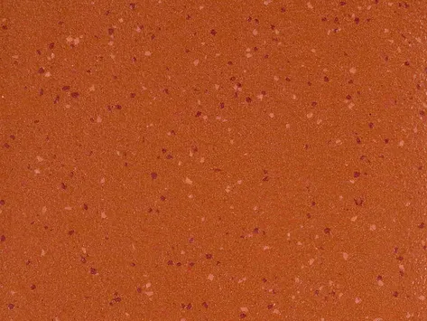 Altro Aquarius - Coral Crab