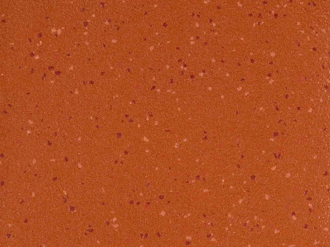 Altro Aquarius - Coral Crab