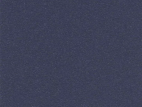 Altro Aquarius - Newt