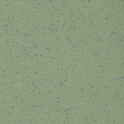 Altro Aquarius – Treefrog