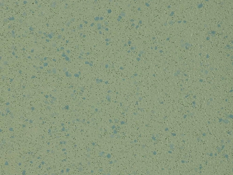 Altro Aquarius - Treefrog