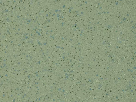 Altro Aquarius - Treefrog